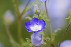 マクロスイッチで