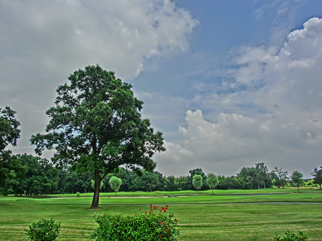 ちょっと涼しめの夏