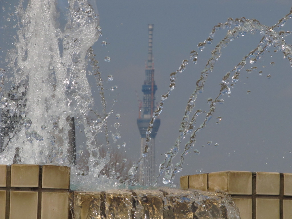 噴水とスカイツリー