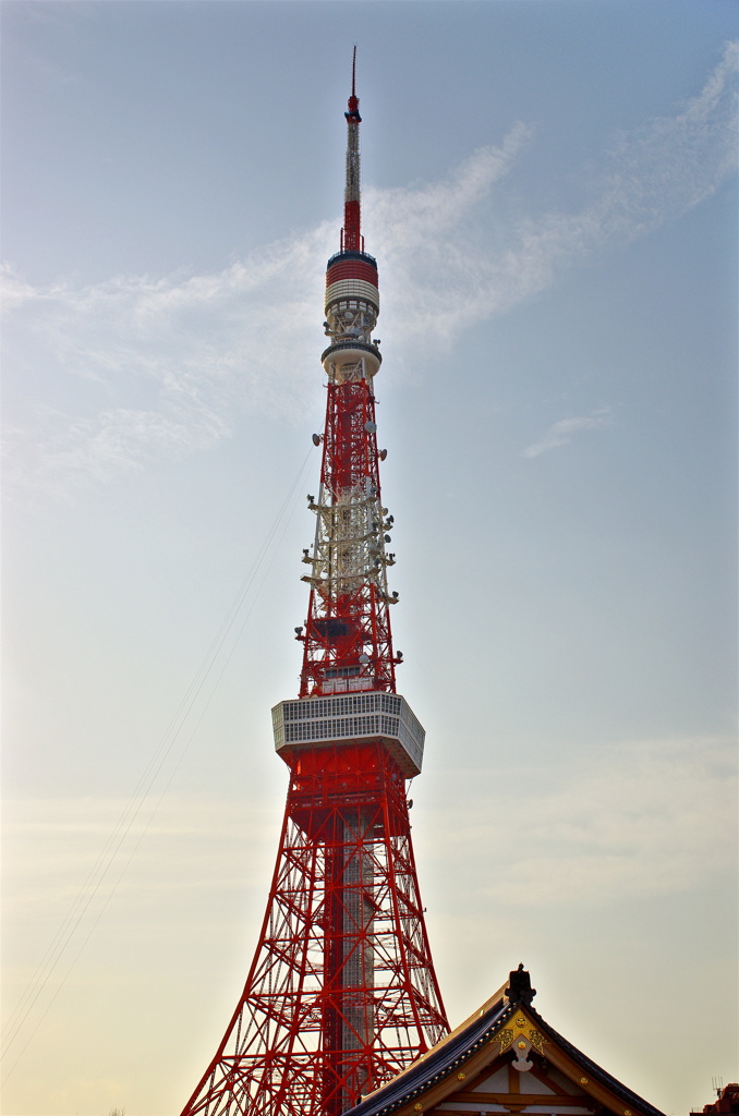 夕方のタワー