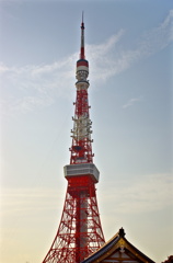 夕方のタワー