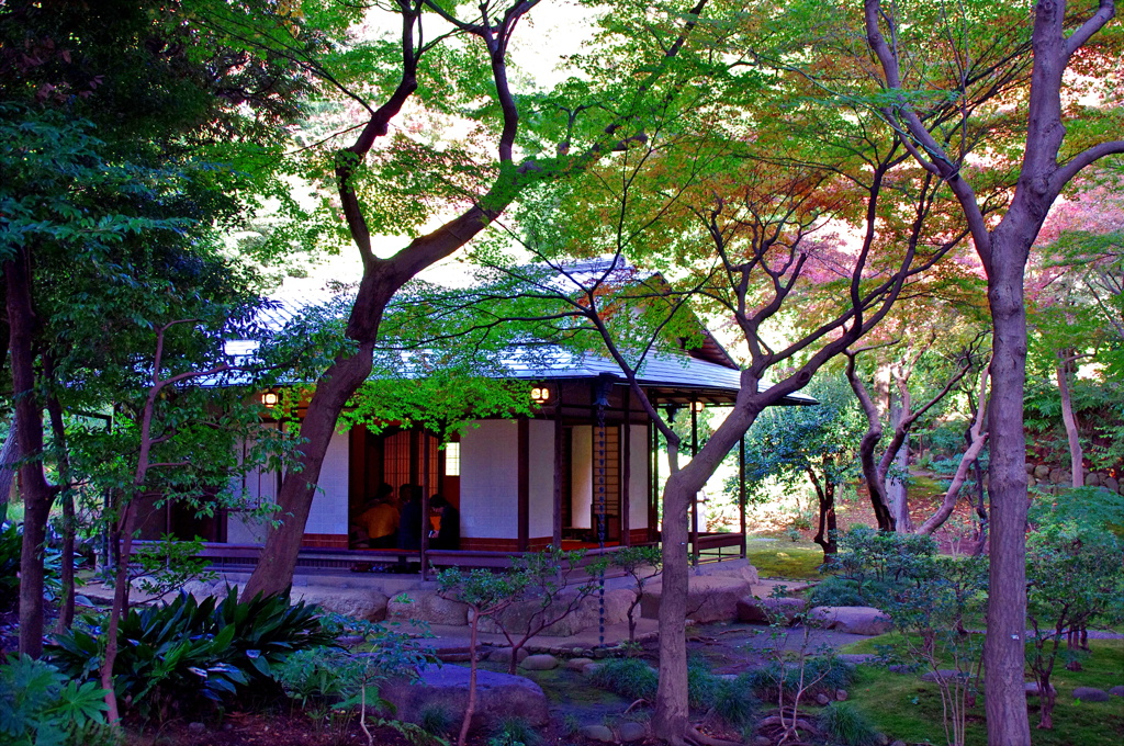 六義園の一部？