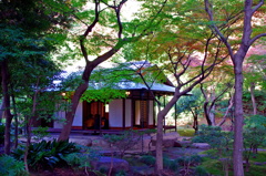 六義園の一部？