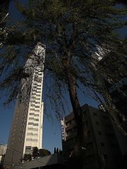 o0489065210993451910
