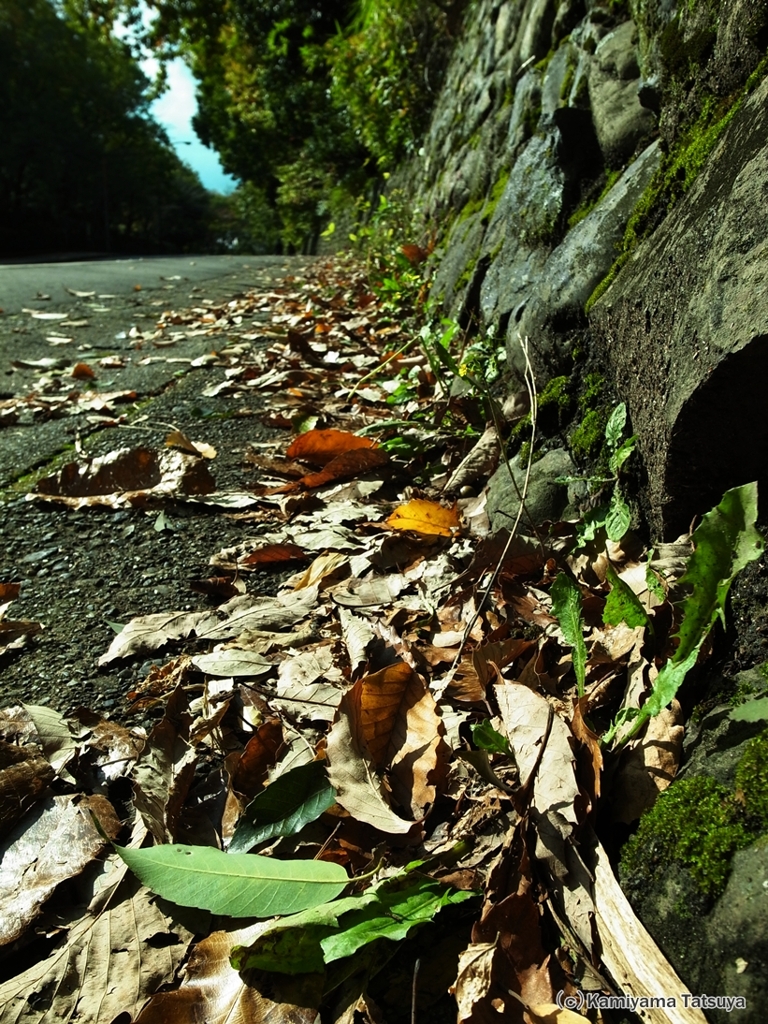 歩道