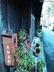 京都の歩道から