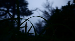 山の朝