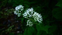P1060452