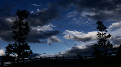 雲