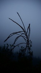 P1060450