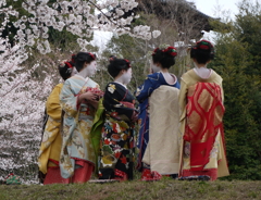 舞妓さん