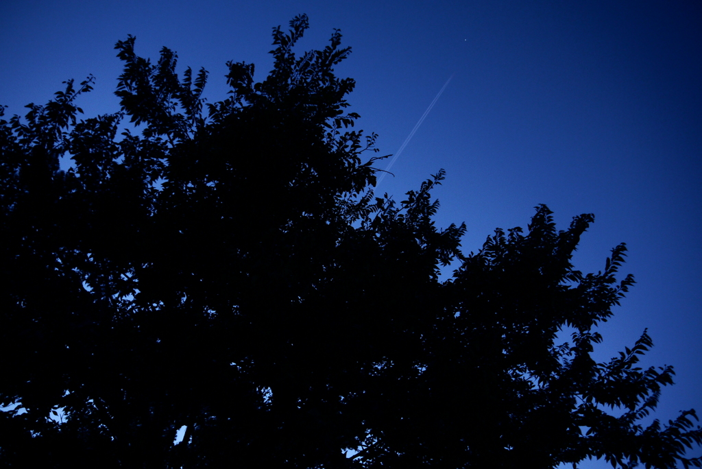 空へ