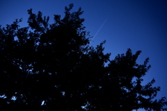空へ