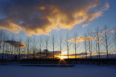 牧場の夕暮れ