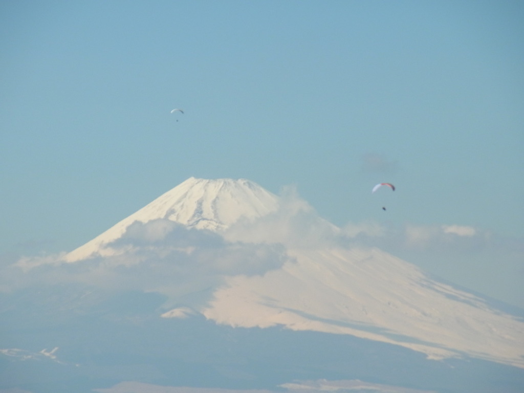 ＺＯＯＭ ＴＥＳＴ２