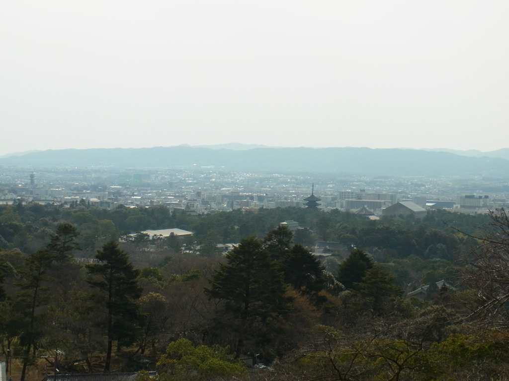 奈良市街