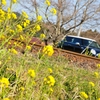 小湊鉄道の線路と菜の花とミニ