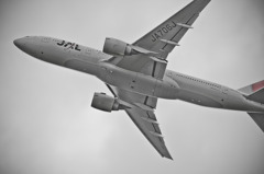飛行機