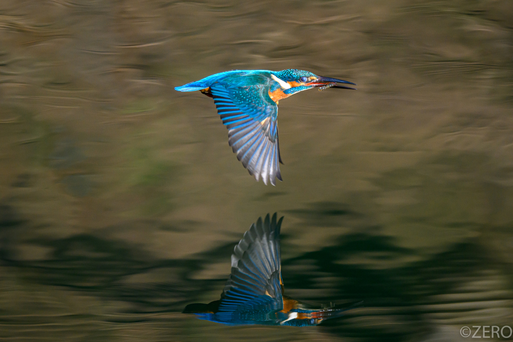 低空飛行＆REFLECTION