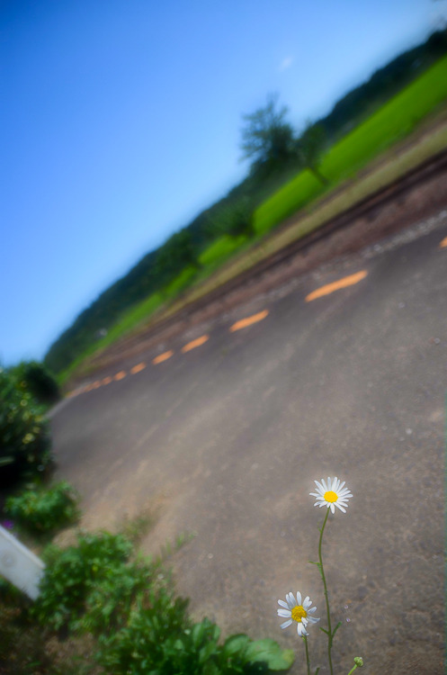 上総鶴舞駅/夏