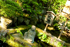 長谷寺の卍池