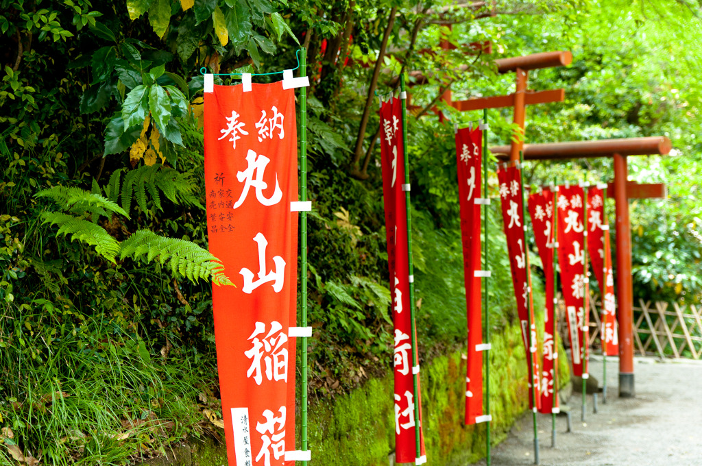 鶴岡八幡宮ののぼり