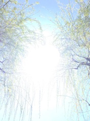 春