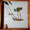 蓮４
