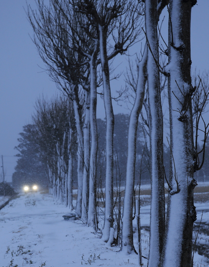吹雪のはざ木