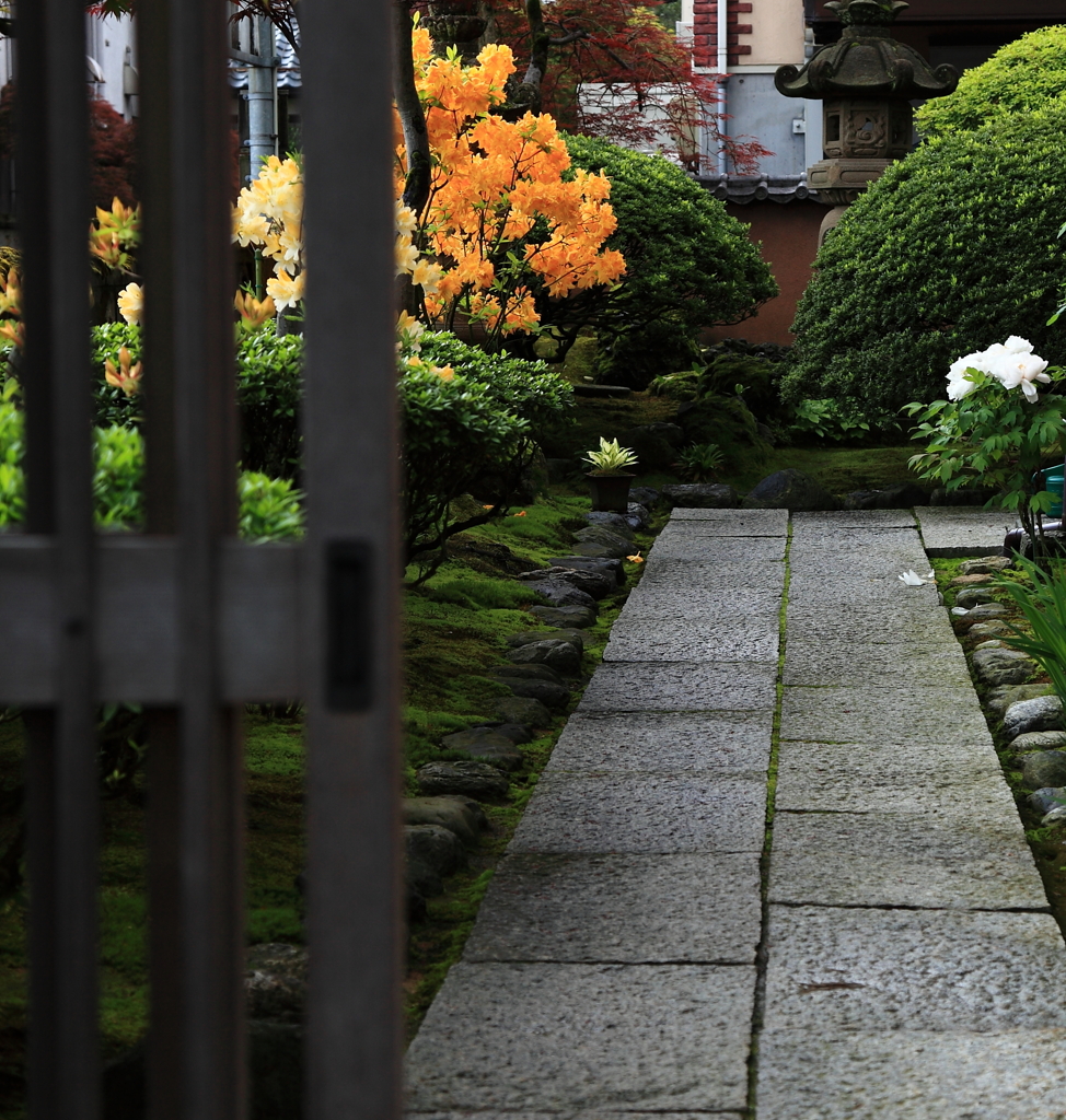 戸を開ければ。