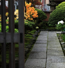 戸を開ければ。