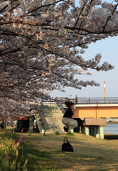桜にジャンプ！