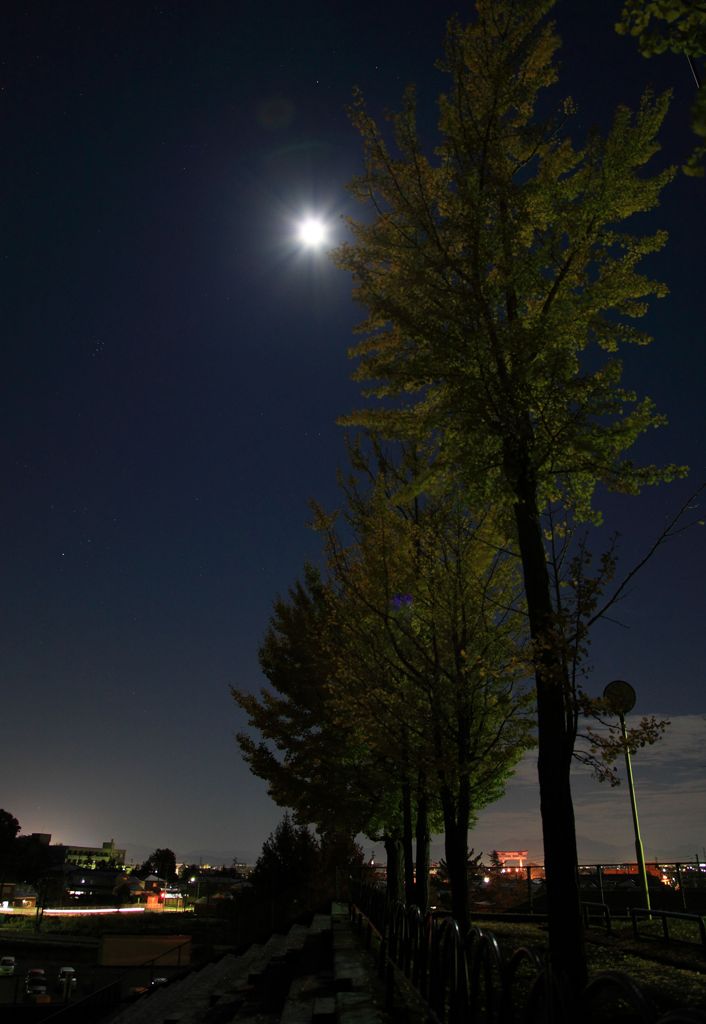 銀杏と月の校庭