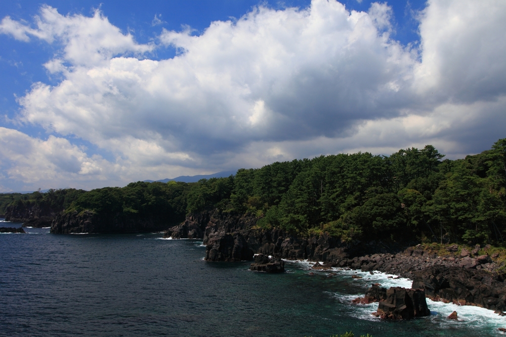 去り行く夏の伊豆の海