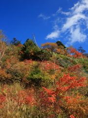 秋晴れ