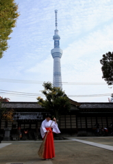 巫女とスカイツリー