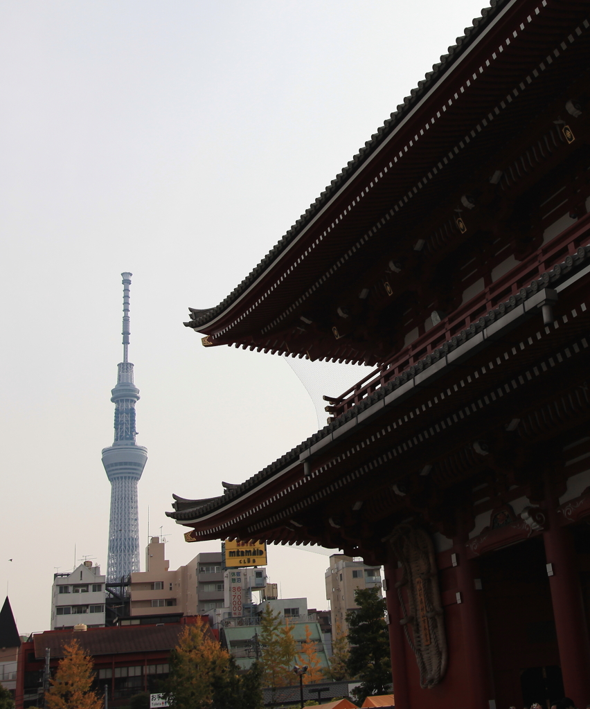 スカイツリーと浅草寺