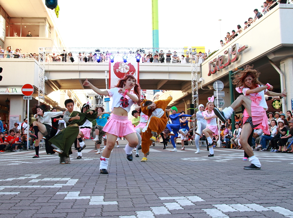 新潟総踊り３