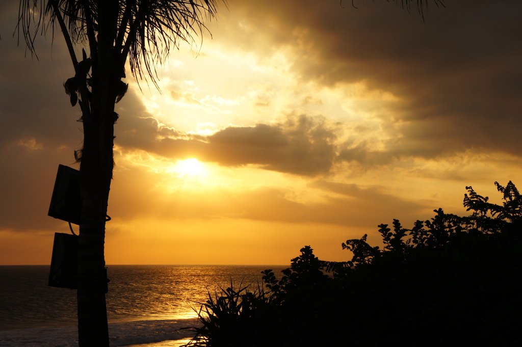 南国の夕日 BARI