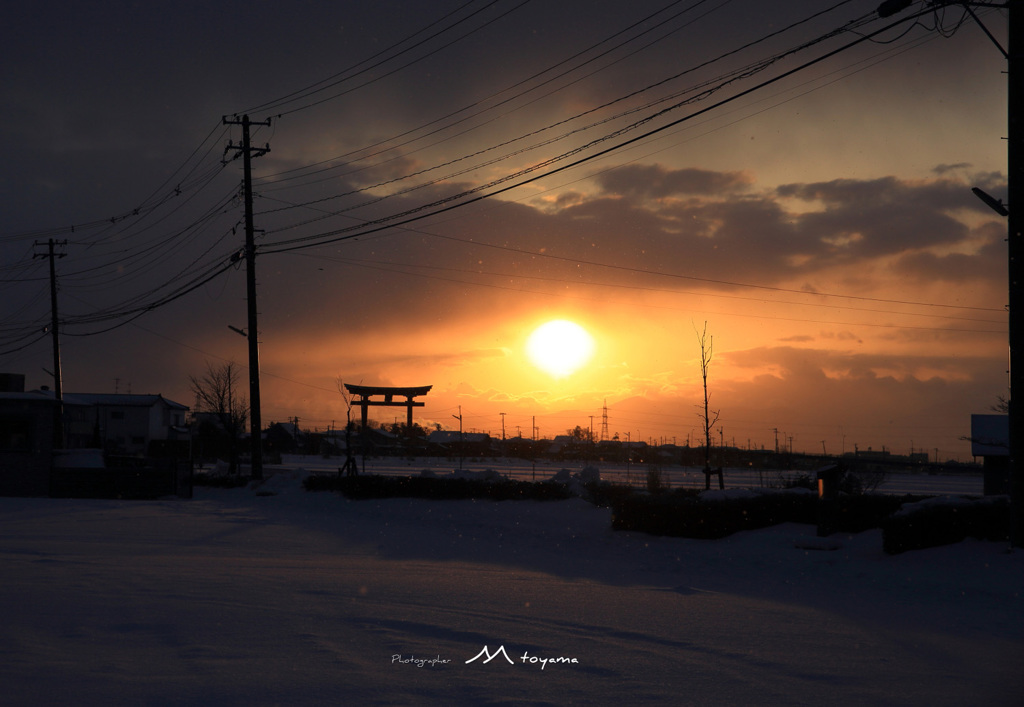 大鳥居の小雪の舞う朝。