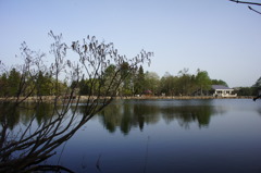 DSC02391