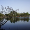 DSC02391
