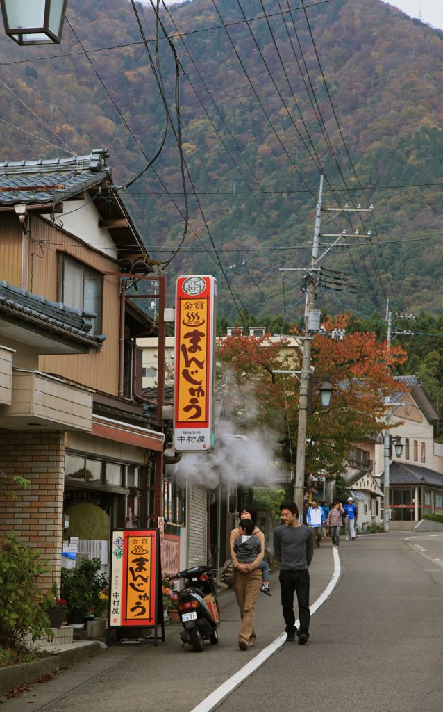 菊まつりin弥彦,帰り路