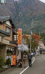 菊まつりin弥彦,帰り路