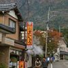 菊まつりin弥彦,帰り路