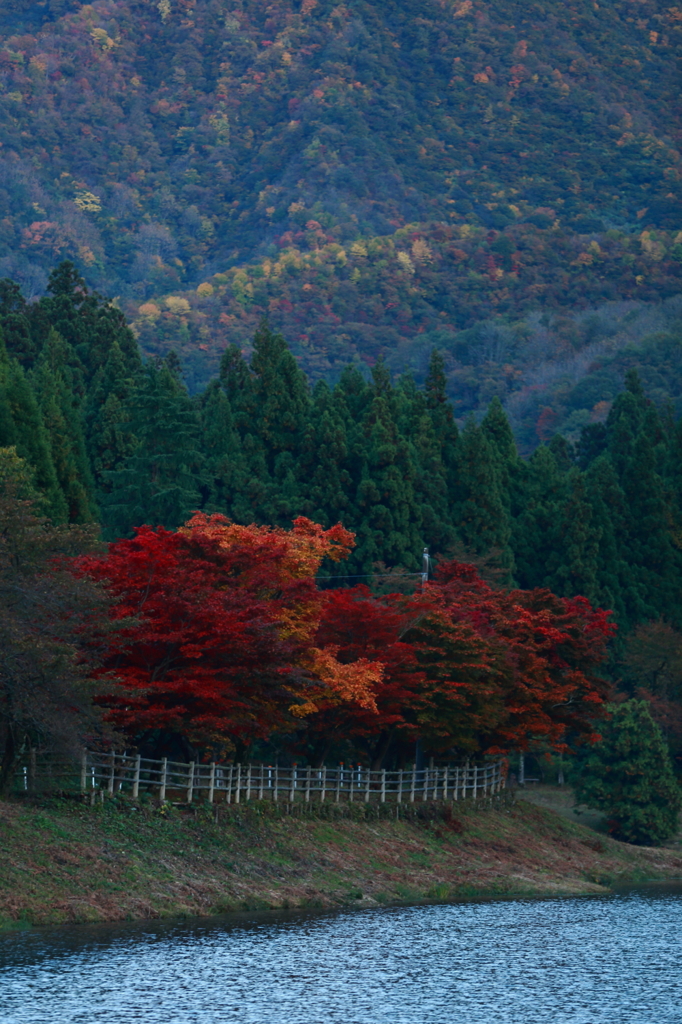 紅葉 粟が岳