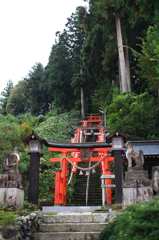 鳥居鳥居鳥居、、、