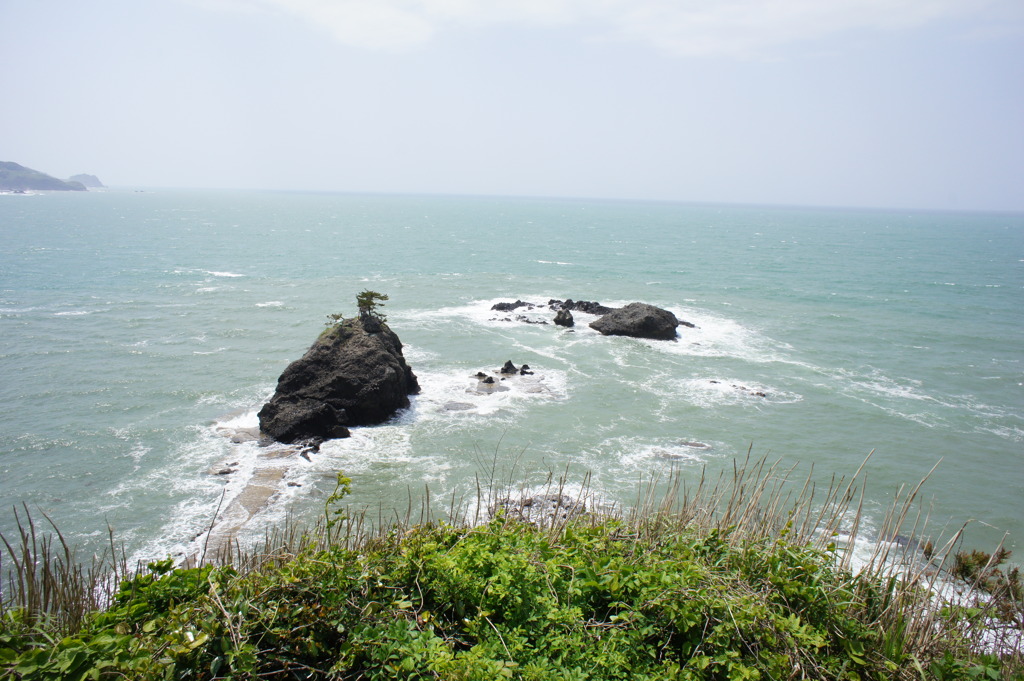DSC02422