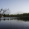 DSC02392