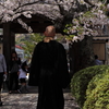 福聚寺正門　住職と桜